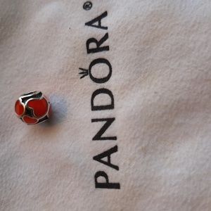 Pandora Charm